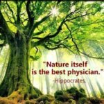 hippocrates_nature